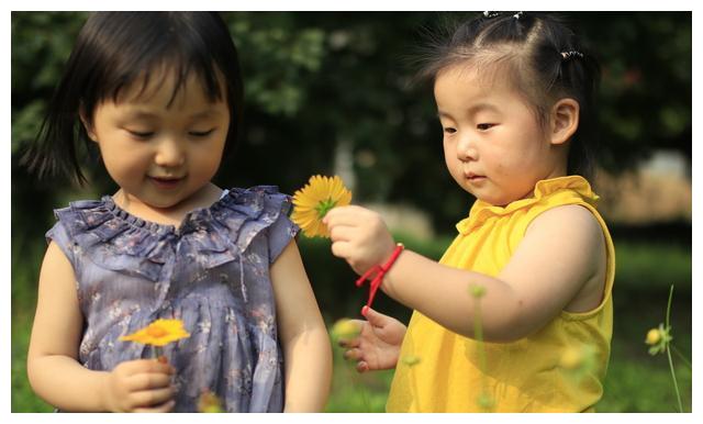 不止于7月高光！小摩：苹果(AAPL.US)关税解套 台积电(TSM.US)Q4及明年业绩将再冲高